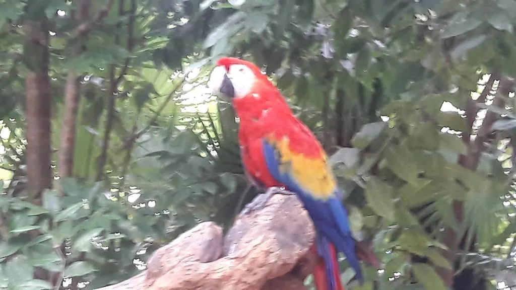 Bed & Breakfast Vida Nueva Bed&Breakfast Peregrina